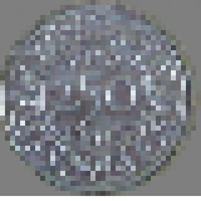 Монета иностранного государства. Республика Суринам. Номинал 250 центов