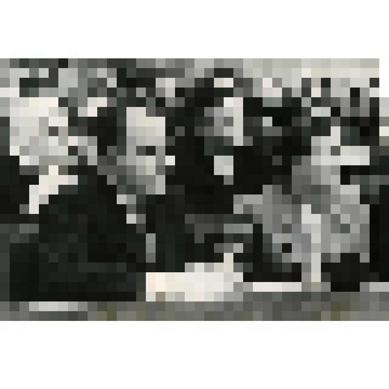 Вторая сессия Верховного Совета СССР