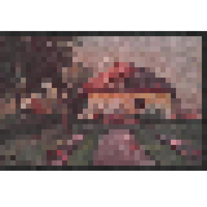 Открытка. Б/н. [Дорога к хате]. Serie 225 b