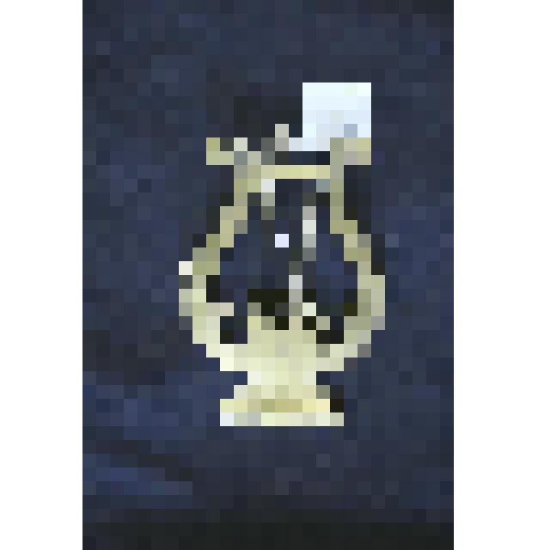 Памятные знаки. Лира от венка, подаренного Н.С.Васильевой почитателями таланта