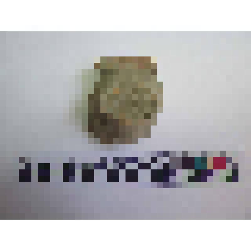 Верхняя часть горла амфоры типа У-21