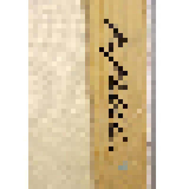 Живопись. Этюд "Портрет Чаркова Николая Фадеевича"