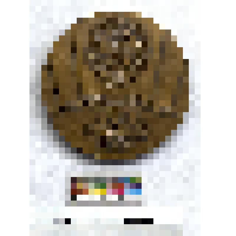 СССР. Медаль. 70 лет Башкирской АССР. 1989 г