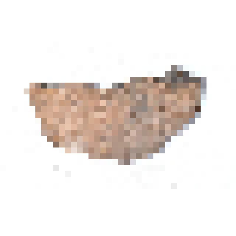 Сосуд (фрагмент)
