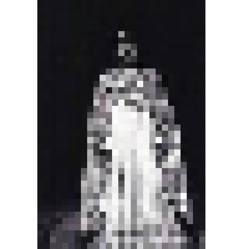 Негатив черно-белый. Борис Годунов - О.Н.Ефремов. "Борис Годунов" (1994 г.)
