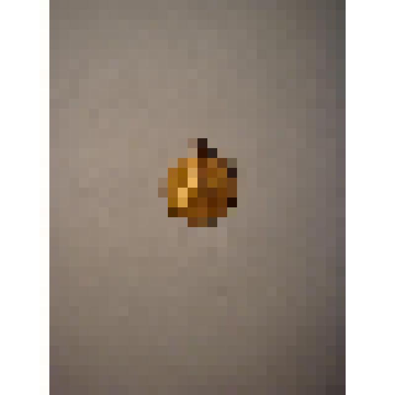 Жетон с изображением Л.Н.Толстого