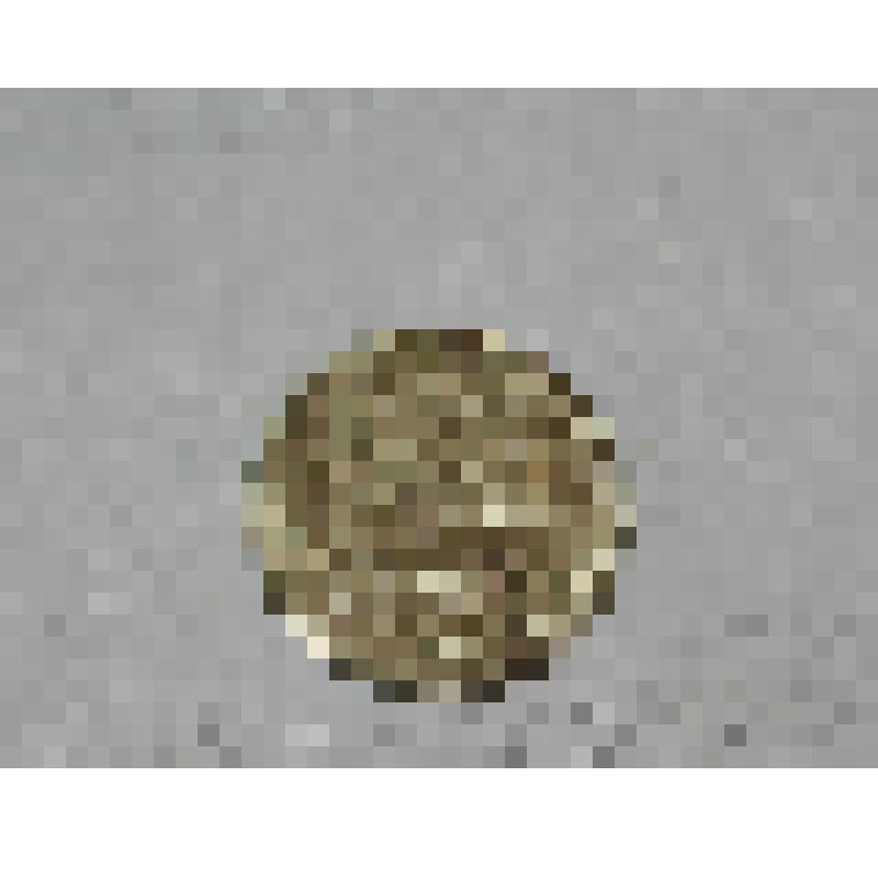 Монета. 15 копеек