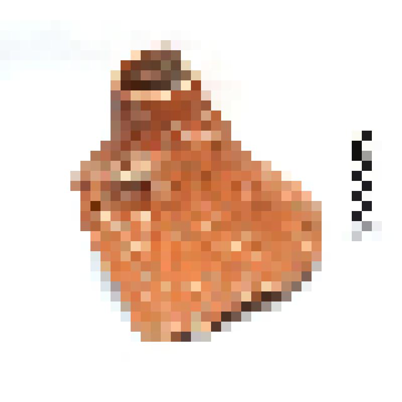 Граффити (Ж)  под нижним корнем ручки амфоры Мх.-96 к.сл.у ям 85-86 оп.185