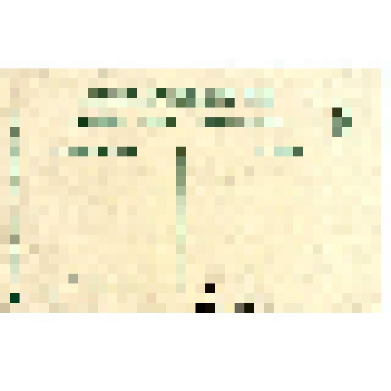 Открытка почтовая черно-белая (открытое письмо). "Железноводскъ. Общiй видъ Железноводска отъ вокзала". 156