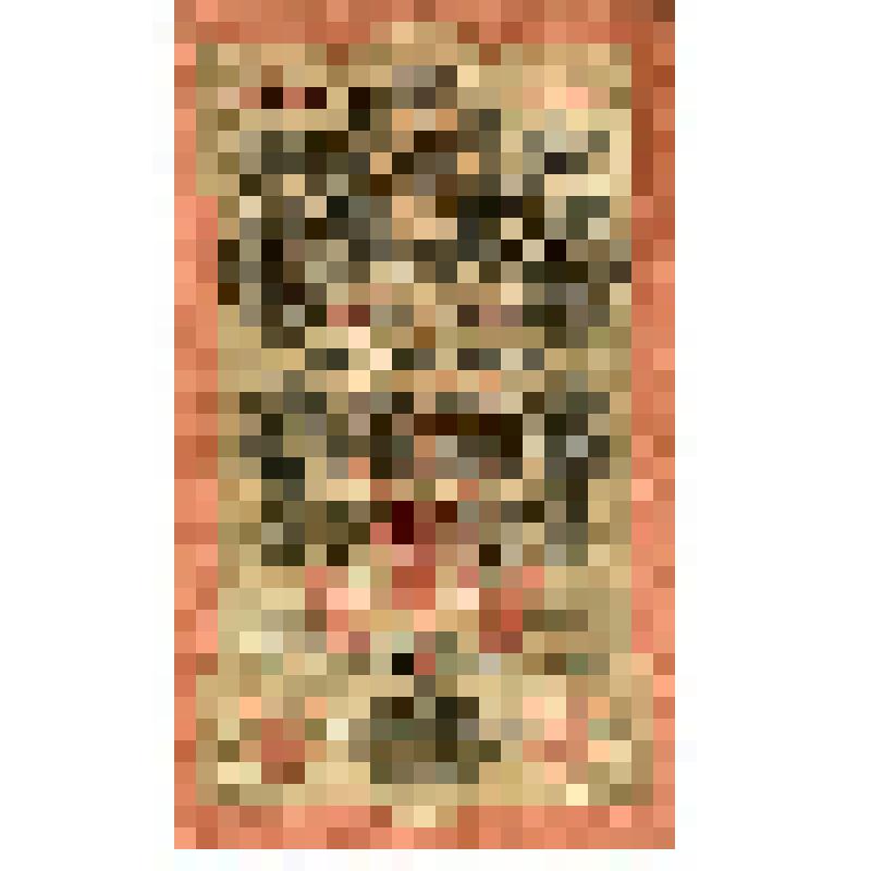 Государственный кредитный билет 10 рублей ДЬ 215216 Россия, 1909 г