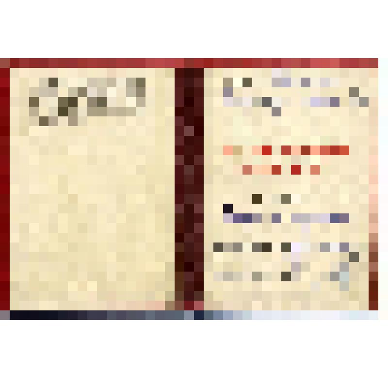 Почетный диплом первого пассажира Родина В.Н