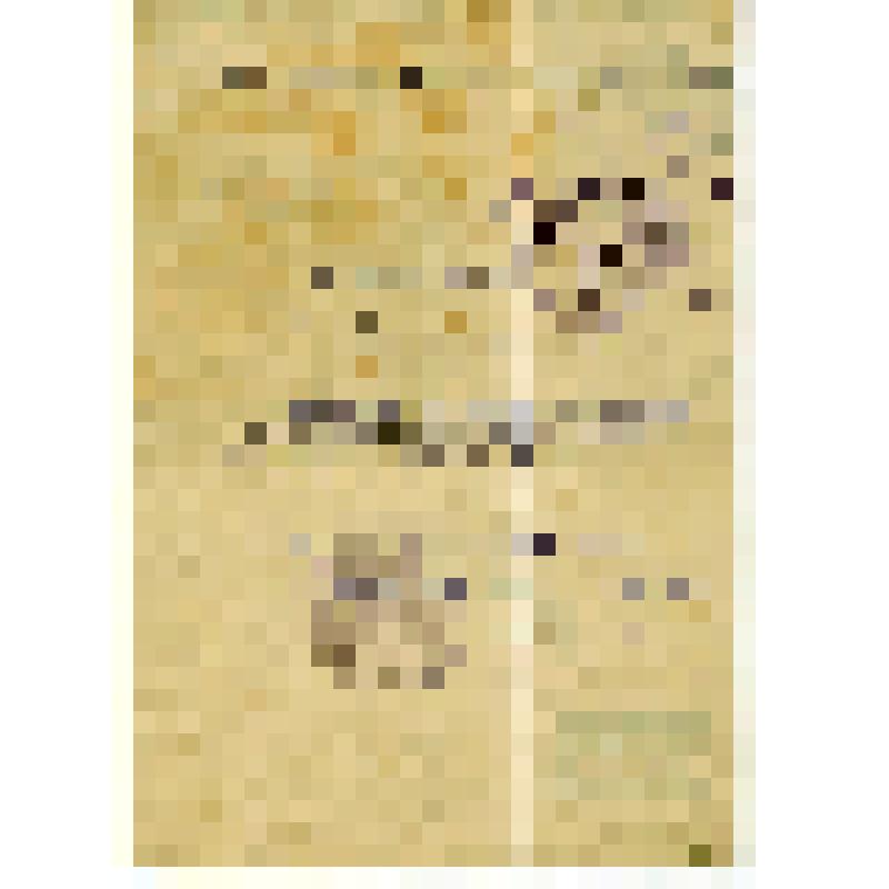 Удостоверение N8 Васильева В.З., командированного в Москву на Всесоюзное совещание легкой кавалерии на при ЦКК и ЦК КСМ