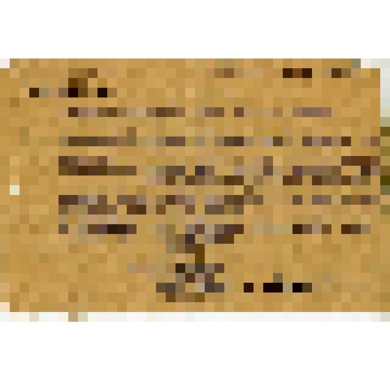 Выписка из протокола N5 заседания Президиума Уральского обкома Общепита об увеличении зарплаты на 10%