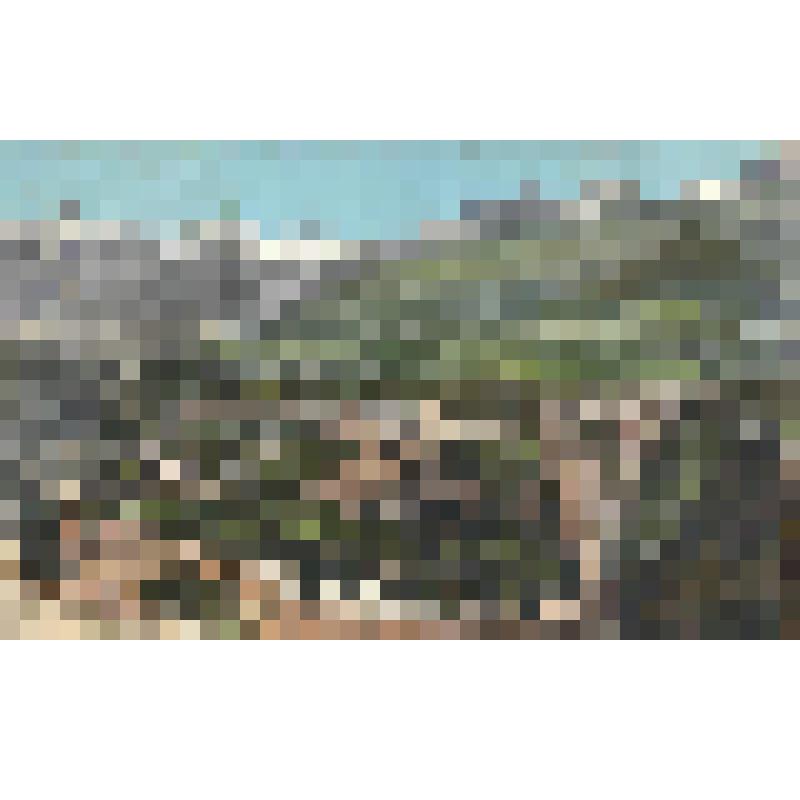 Кавказ. Военно- Грузинская дорога. Общий вид Млетского подъема