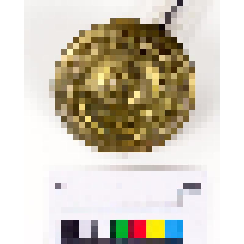 Пуговица форменная