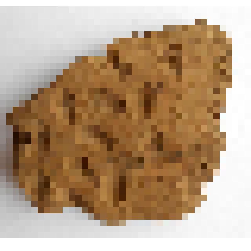 Фрагмент стенки сосуда