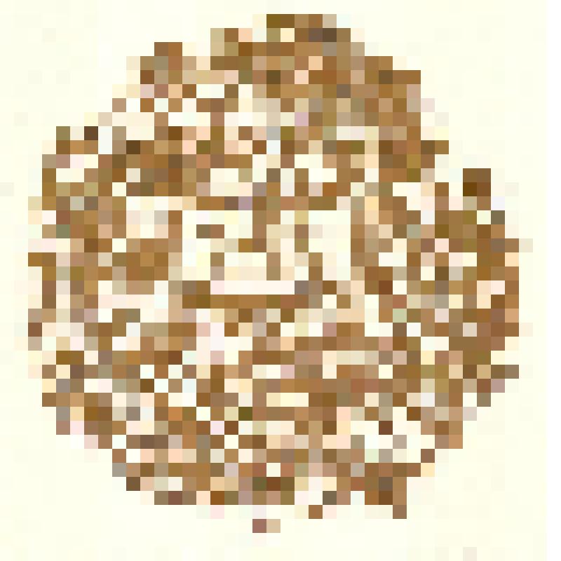 Exlibris Б.К. Гогель