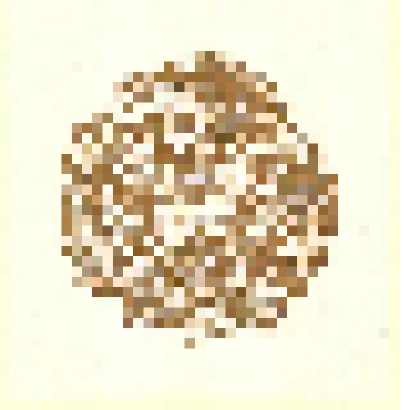 Exlibris Б.К. Гогель