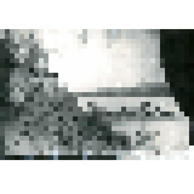 Фотокопия со стеклянных негативов. Двое мужчин на плоту у берега  реки