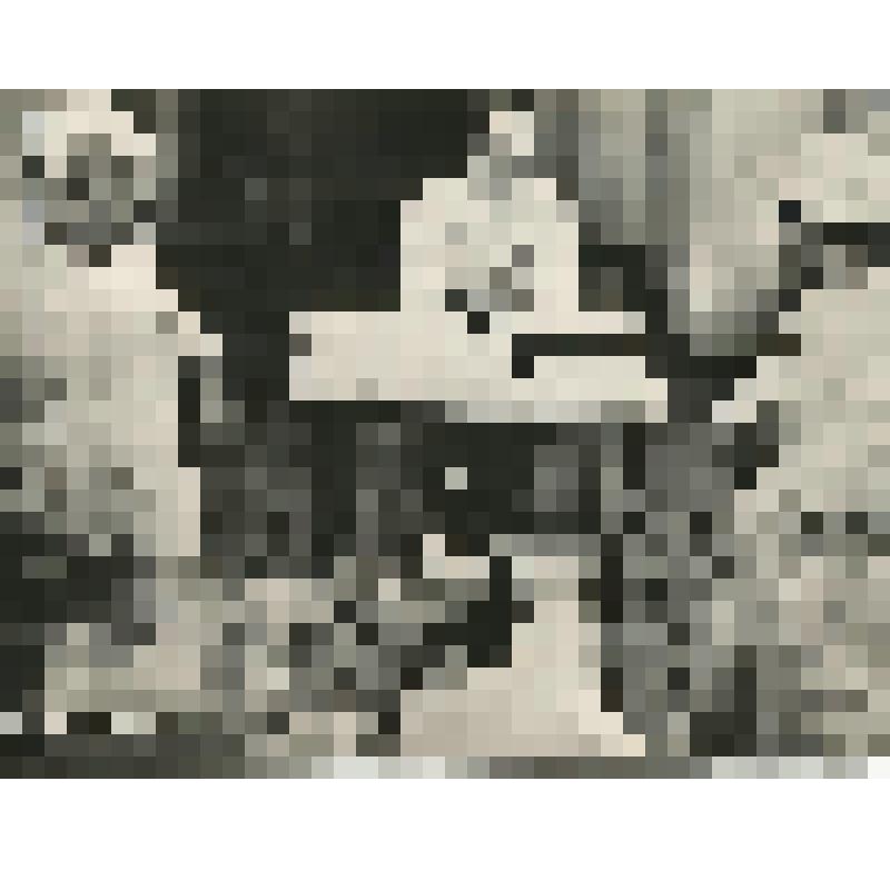 Фотография "Степень риска", 1970-1980 гг