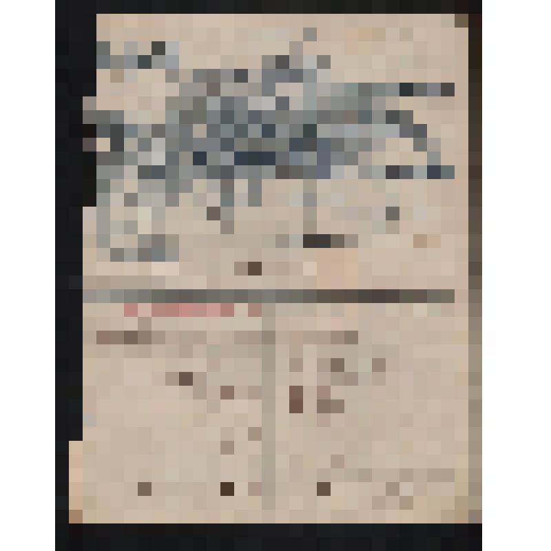 Счет № 2238 от 8 апреля 1910 г. Третьякову Г.И. от торгового дома М. и Ф. Дутиковых в Ростове-на-Дону