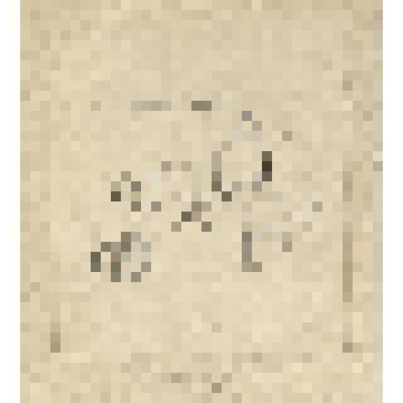 Зарисовка меха и горна в медно-чеканной мастерской. Аул Гоцатль. Из альбома зарисовок «Дагестанские экспедиции Шиллинга 1939-1943 гг.» Часть 1. Чеканка и гравировка на медных кувшинах в селении Гоцатль. Орнамент на железных дверных кольцах в селении Хунза