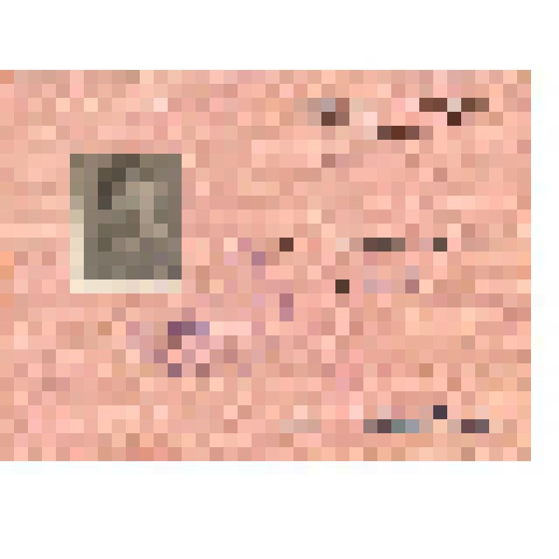 Билет членский № 14153 Всероссийского театрального общества Михайловской Зинаиды Семёновны, актрисы Государственного Русского драматического театра им. В.Г. Короленко