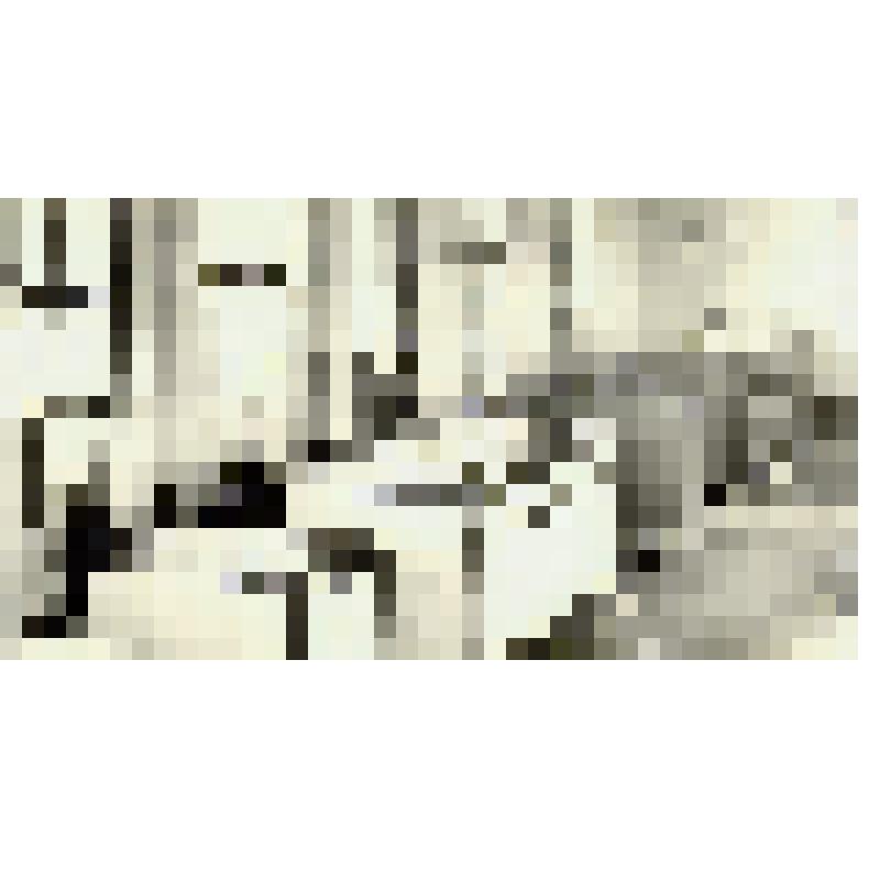 Фотография. Пятигорский машиностроительный завод им. Кирова. Сборка опытных образцов инкубаторов «Универсал-55» в инкубационном цехе