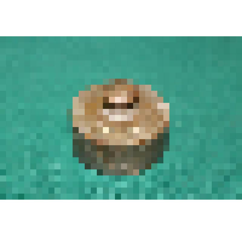 Гиря весовая "200 / 9" с клеймом "Т-во А.К. ФЕРРЕЙНЪ"