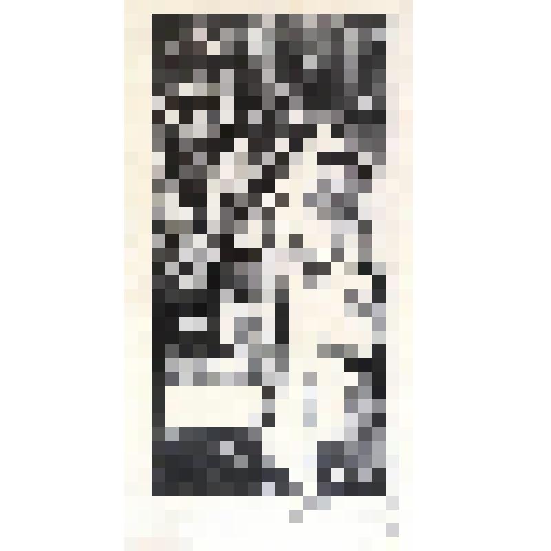 Экслибрис. Exlibris   М. Алпатова