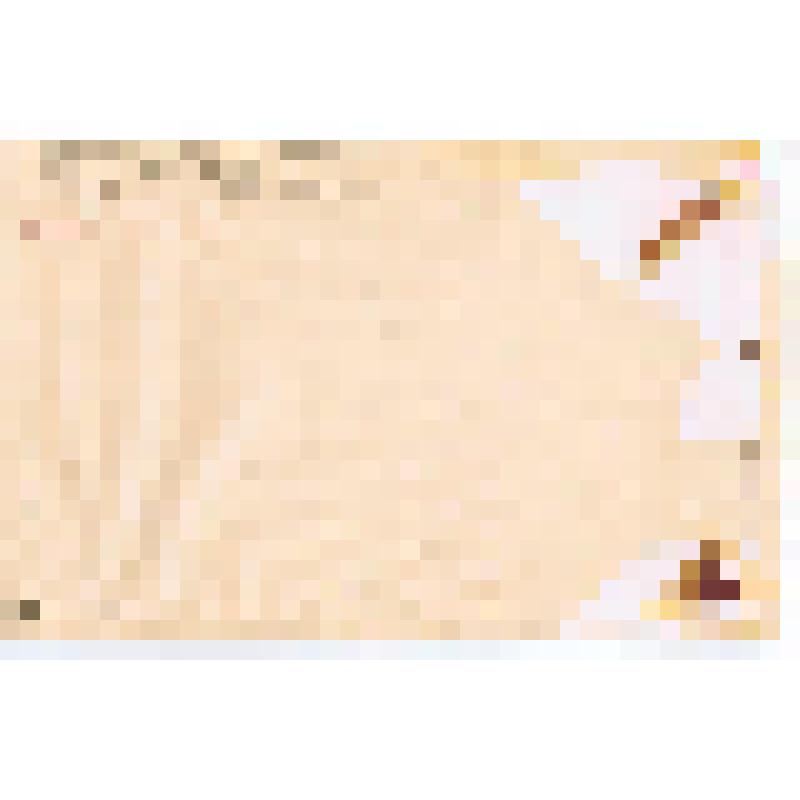 Фотопортрет групповой. Коллектив учителей школы № 1