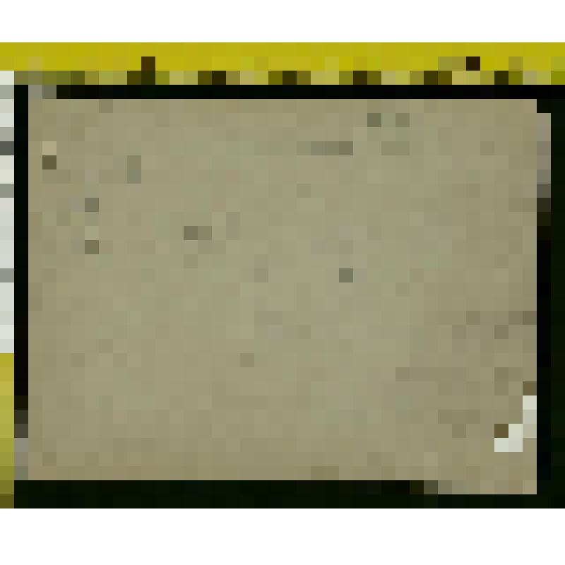 Фотография: Л.Н. Толстой в кабинете Хамовнического дома