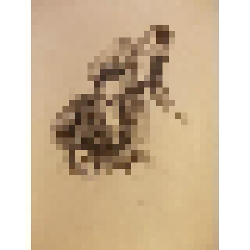 Литография. Портрет. Е.А.Лебедев в роли Рогожина, И.М.Смоктуновский в роли князя Мышкина. "Идиот" (Постановка 1957 г. Сценическая композиция и постановка Г.А.Товстоногова

, режиссер Р.А.Сирота, художник М.М.Лихницкая). Ленинград, Ленинградский Государств