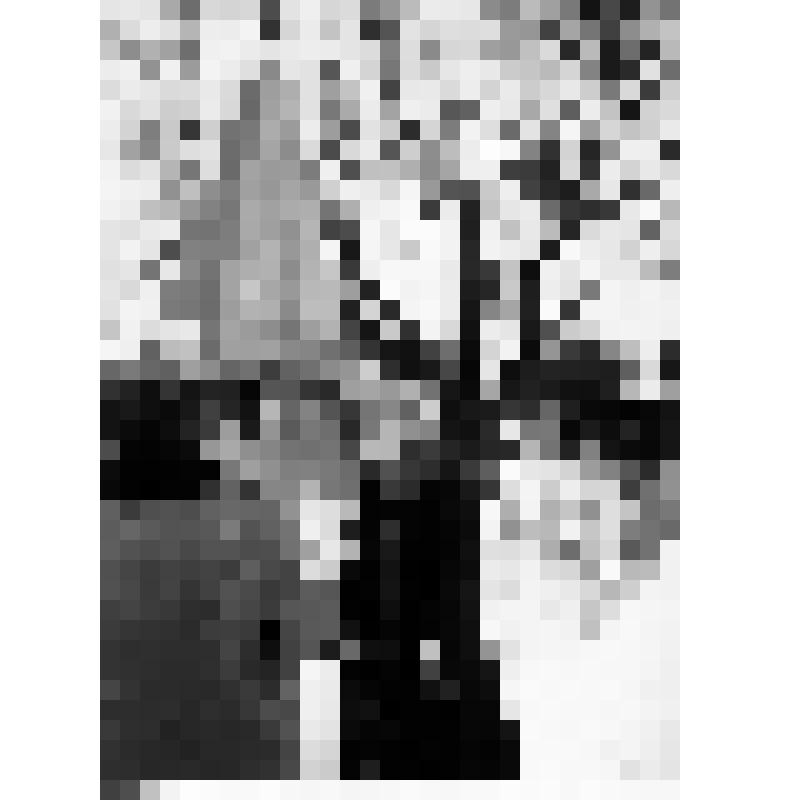 Фотография. Сухов Ф.Г. у памятника погибшим односельчанам