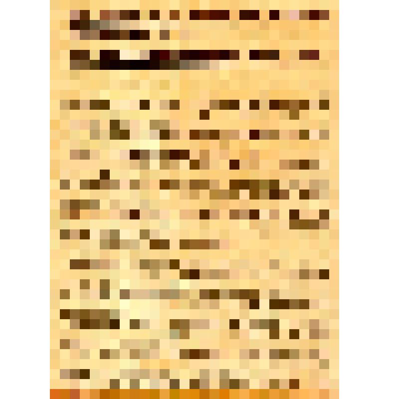 Всеукраинское бюро профсоюзного дви-жения при ЦК коммунистов (большеви-ков) Украины. Всем коммунистам и сочувствующим, работающим в профессиональном движении. Всем комитетам коммунисти-ческой партии Украины. Товарищи!