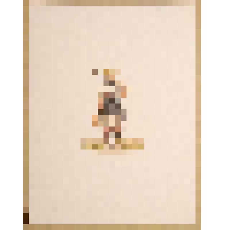 Репродукция "Berne". Из набора "Schweizer trachten" (Швейцарский костюм) экземпляр № 484