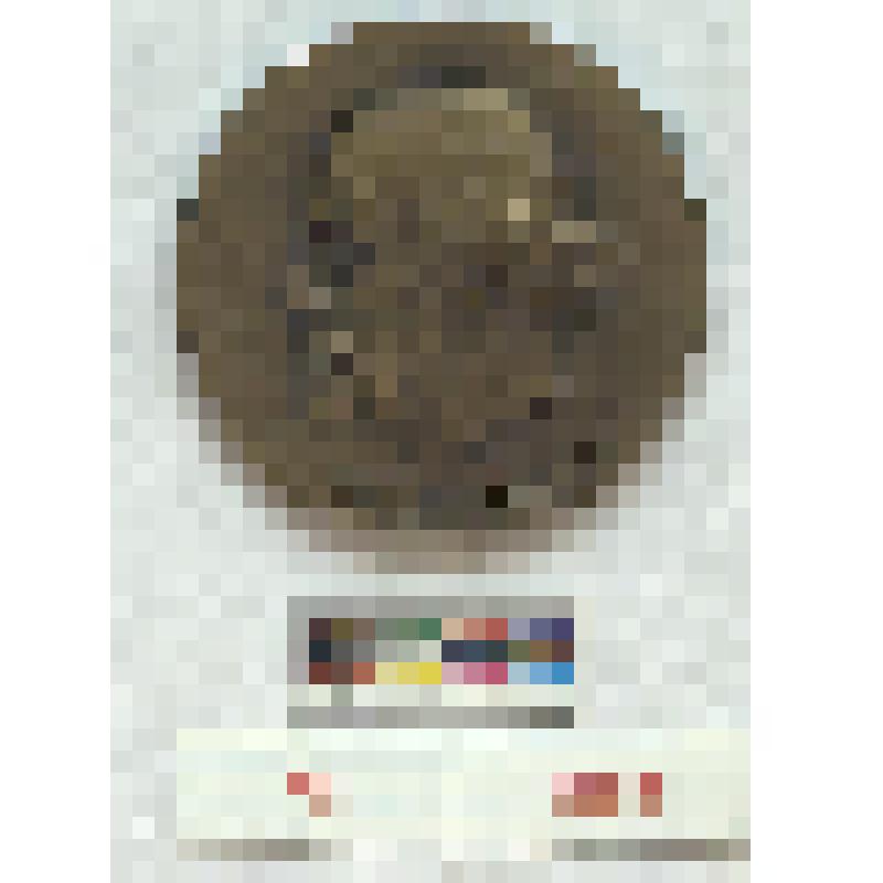 СССР. Медаль. На 100-летие со дня рождения Н.Д. Зелинского, 1861-1961 гг