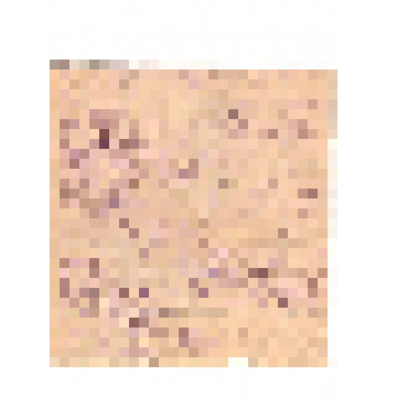 Письма Кашникова  Зиновия Ивановича родным