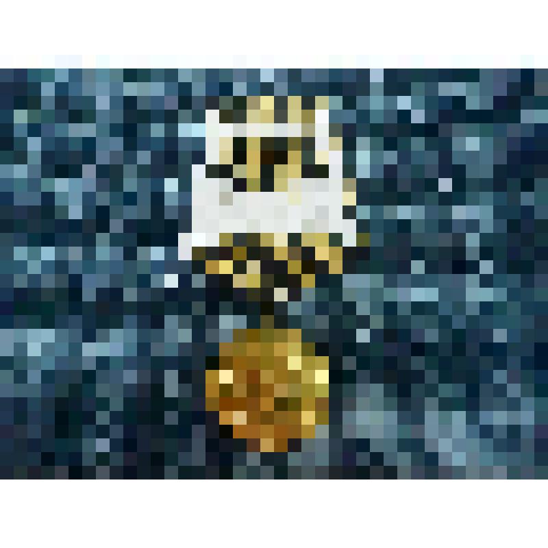 Медаль "За победу над Германией в Великой Отечественной войне 1941-1945 гг."