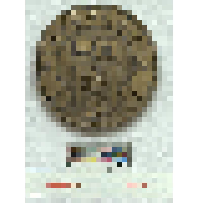 СССР. Медаль. 50 летие города Краснокамска. 1988 г