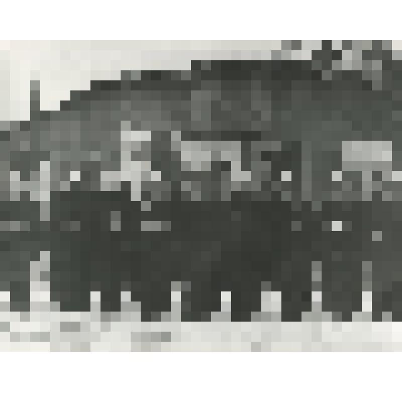 Построение военнослужащих на улице