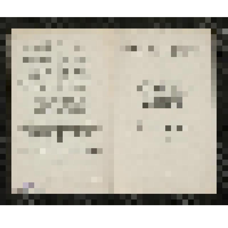 Программа. "Лакмэ" (Дирижер - Небольсин В.В. Режиссер - Домбровский Н.С. Художники - Самохвалов С.К., Федоров Л.А.). Москва. Филиал Государственного Академического Большого театра СССР