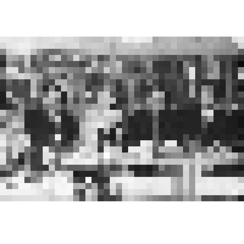 Фото сюжетное. Круглый стол с болгарскими коллегами