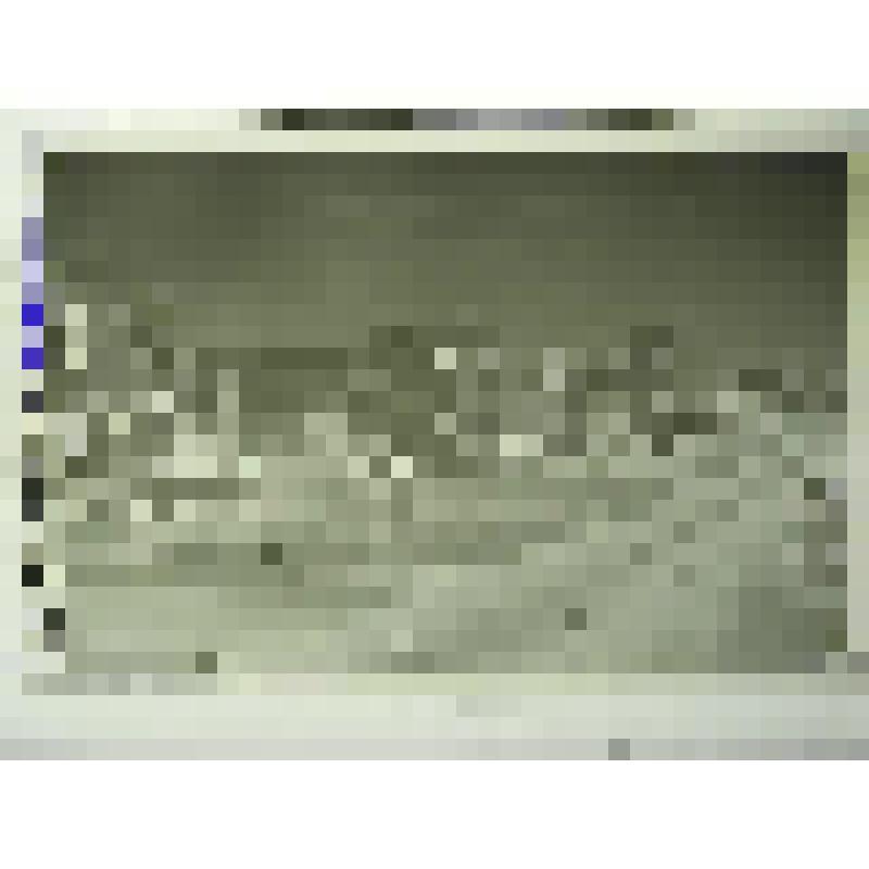 Жилые дома, втор.пол.ХХ в. Новосибирская  обл., г. Ногвосибирск. Жилые дома на ул.Челюскинцев, 1970-1980-е гг. Перспектива