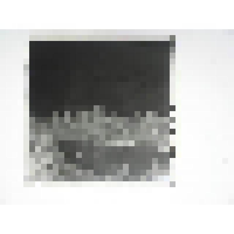 Церковь Казанской иконы Божией Матери. ул. Коммунаров, 1. 1882 г. Челябинская  обл., Кусинский р-н, г. Куса. Церковь Казанской иконы Божией Матери, ул. Коммунаров, 1. 1882 г. Северный фасад. Вид с реки