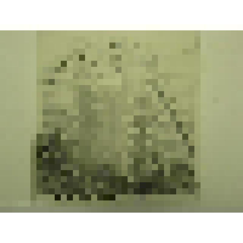 Дом Н.М.Беспалова. Ул. Привокзальная, 29. кон.XIX-нач.ХХ вв. Челябинская  обл., г. Карабаш, пос. Южный (с.Саймоновское). Дом Н.М.Беспалова. Ул. Привокзальная, 29. кон.XIX-нач.ХХ вв. Дверь на южной стене хозяйственной постройки в огороде