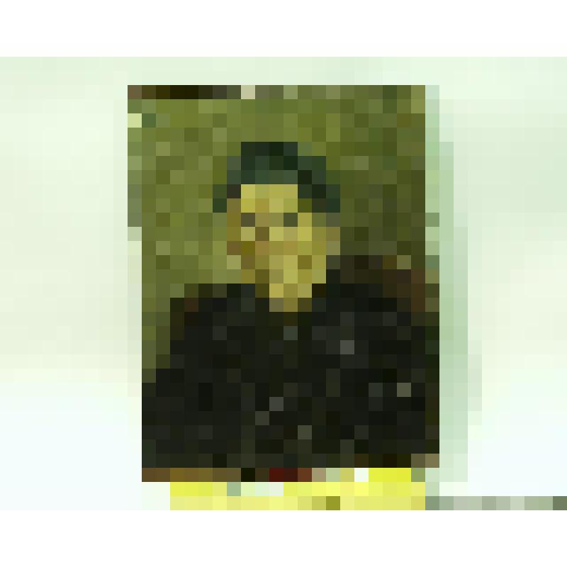 Портрет П.Ф.Суриковой, матери художника