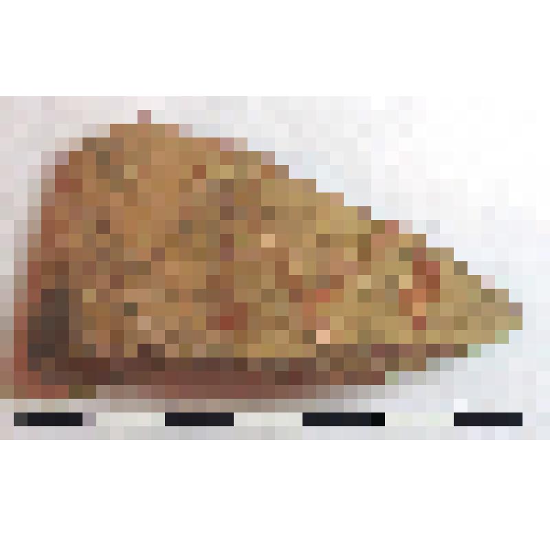 Фрагмент горла амфоры типа D с дипинти