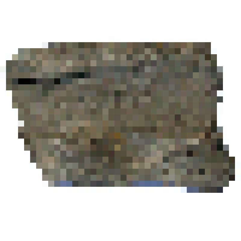 Фрагмент венчика с частью ребра лепной миски черняховского типа