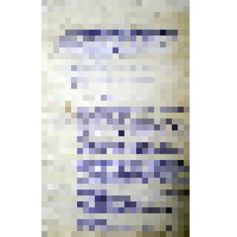 Протокол общего собрания с/х коммуны "Красное Знамя" (переход на новый устав коммуны)